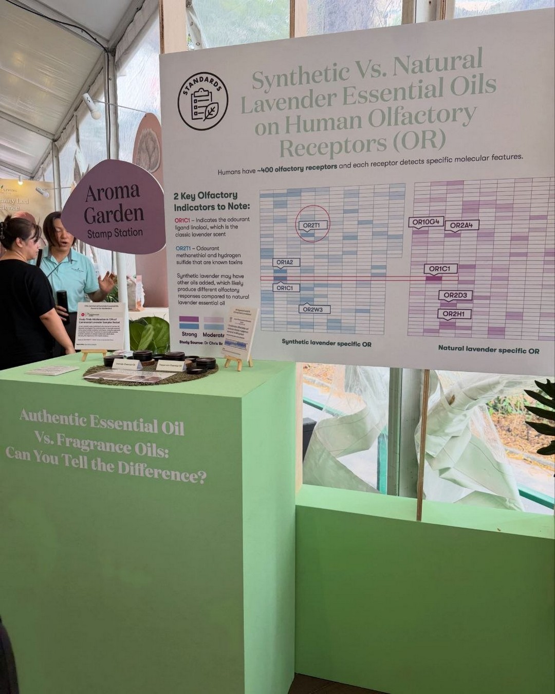 Young-Living-Singapore-FREE-Lemon-Essential-Oil-and-Ningxia-8 Now till 10 October 2026: Young Living Singapore: FREE Lemon Essential Oil and Ningxia Decompression Bolster Worth S$45.50